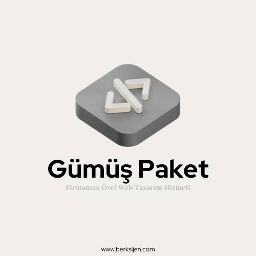 Gümüş Paket Web Tasarım Hizmeti